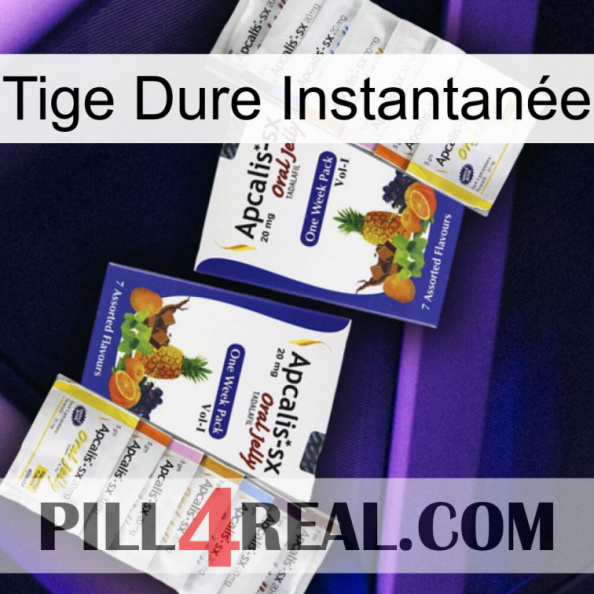 Tige Dure Instantanée 12